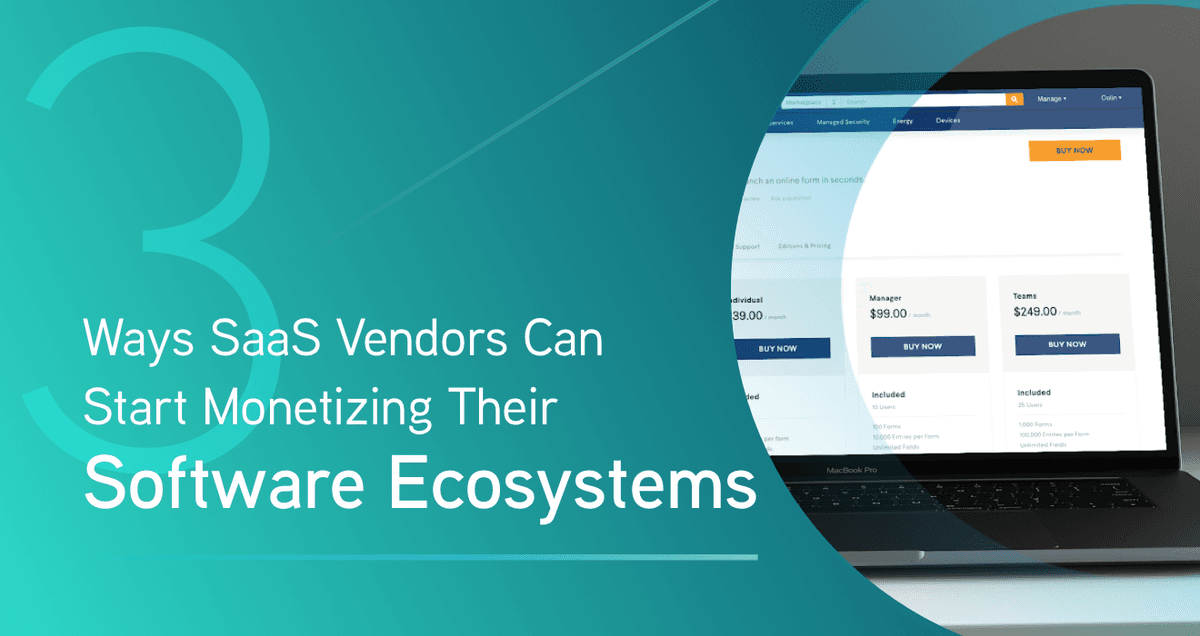 Three Ways SaaS Vendors Can Start Monetizing Their Software Ecosystems